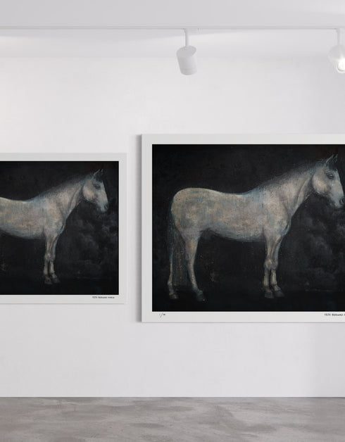 Horse | Limited Edition Prints
